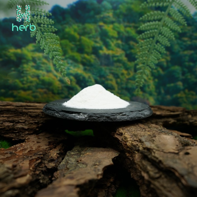 Polygonum Cuspidatum Extract Manufacturer - OEM/ODM Natural Herbal Extract 98% Polydatin