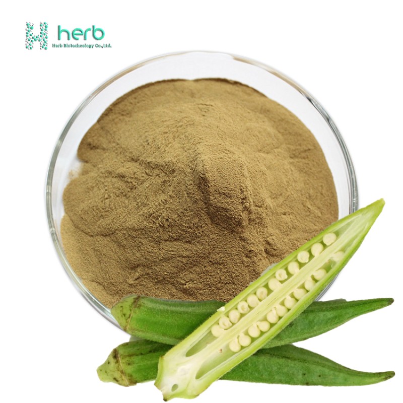 Okra Extract Powder Manufacturer - OEM/ODM 100% Pure Okra Supplement