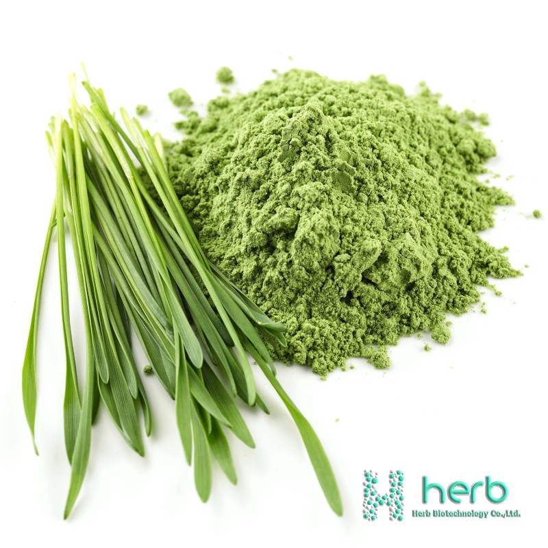 Organic Barley Grass Juice Powder Manufacturer - OEM/ODM Premium Barley Grass Supplement
