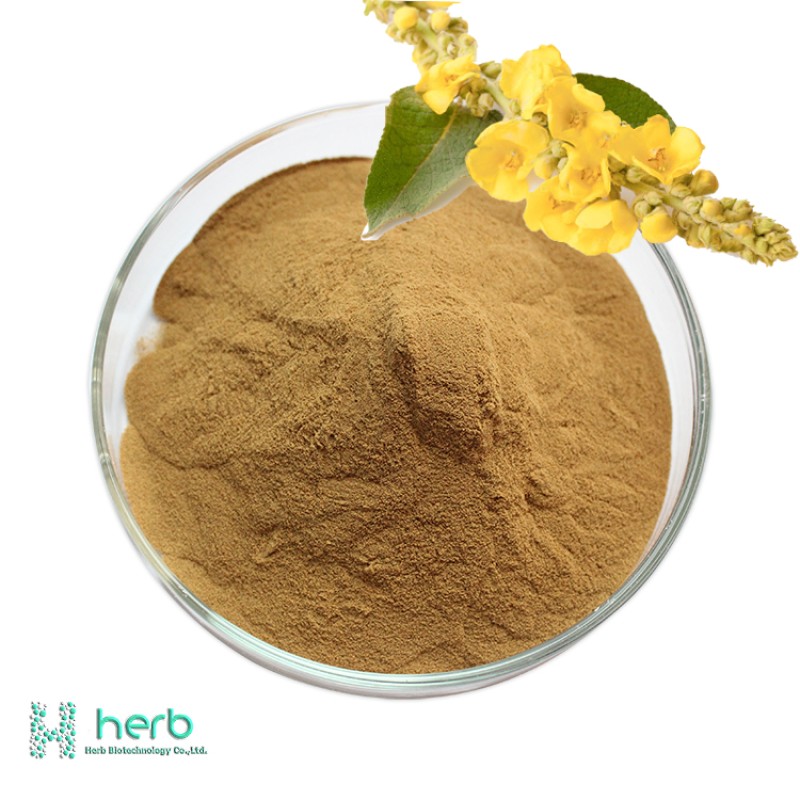 Mullein Leaf Extract Powder Manufacturer - OEM/ODM Wholesale Verbascum Thapsus Mullein Extract