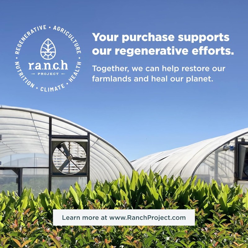 Organic Super Greens Powder Manufacturer - Private Label Mineral Superfood Dietary Fiber Multivitamin Supplement