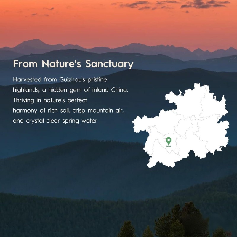 ODM/OEM Matcha Powder Manufacturer - Private Label Organic Mineral Superfood Dietary Fiber Complete Multivitamin Supplement