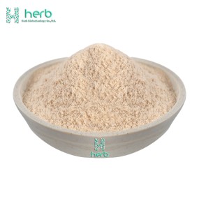 Psyllium Husk Powder Manufacturer - OEM/ODM Factory Supply Natural Dietary Fiber 99% Supplement