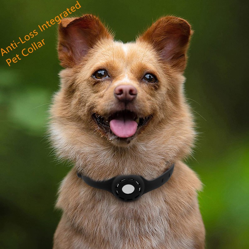 Dog Collar Factory - Suitable for Protective Cover Anti-lost Waterproof USB Charging Dog Collar