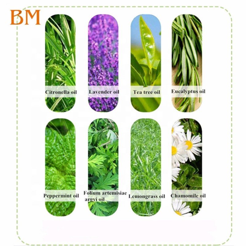 Silicone Mosquito Wristbands Factory - Summer Hot Selling Outdoor Adjustable Mosquito Repellent