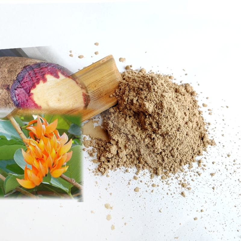 Organic Kudzu Root Extract Powder Manufacturer Direct