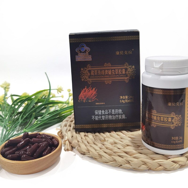 2024 Trend Product Cordyceps Sinensis Extract Capsules Factory Source