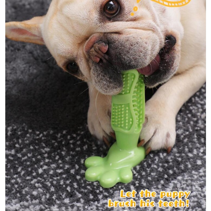 Dog Chew Toy Manufacturer - Rubber Toothbrush Cleaning Toy