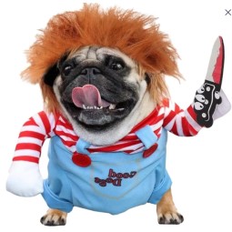 Pet Cosplay Clothes Supplier - Halloween Theme Dog Cat Costume