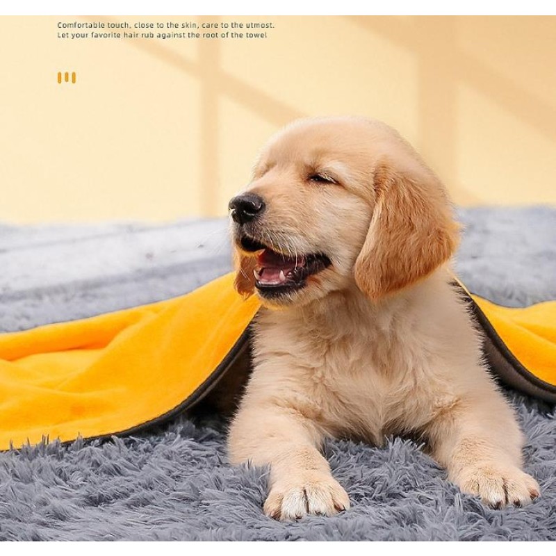Pet Grooming Towel Manufacturer - Quick Dry Microfiber Dog Bathing Supply