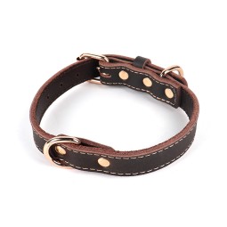 Leather Dog Collar Manufacturer - Cowhide Adjustable Buckle Collar