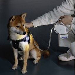 Pet Leash with Light Supplier - LED Flashlight Poop Bag Dispenser