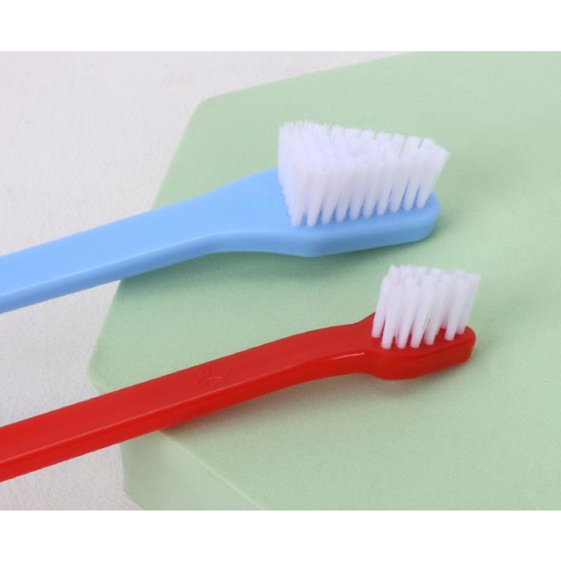 Pet Toothbrush Manufacturer - 2 End Dog Tooth Cleaner with Brush Heads
