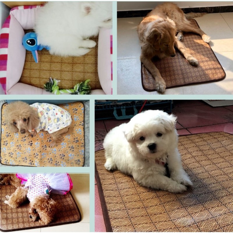 Pet Cooling Mat Manufacturer - Double Side Summer Winter Pad