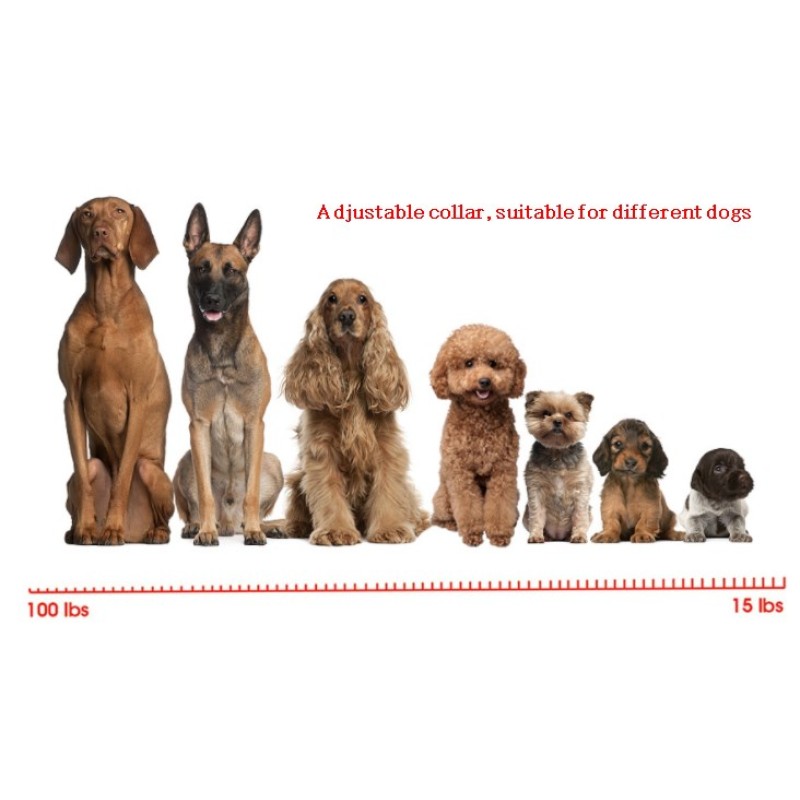 Smart Dog Collar Manufacturer - Automatic Anti Bark Training Collar