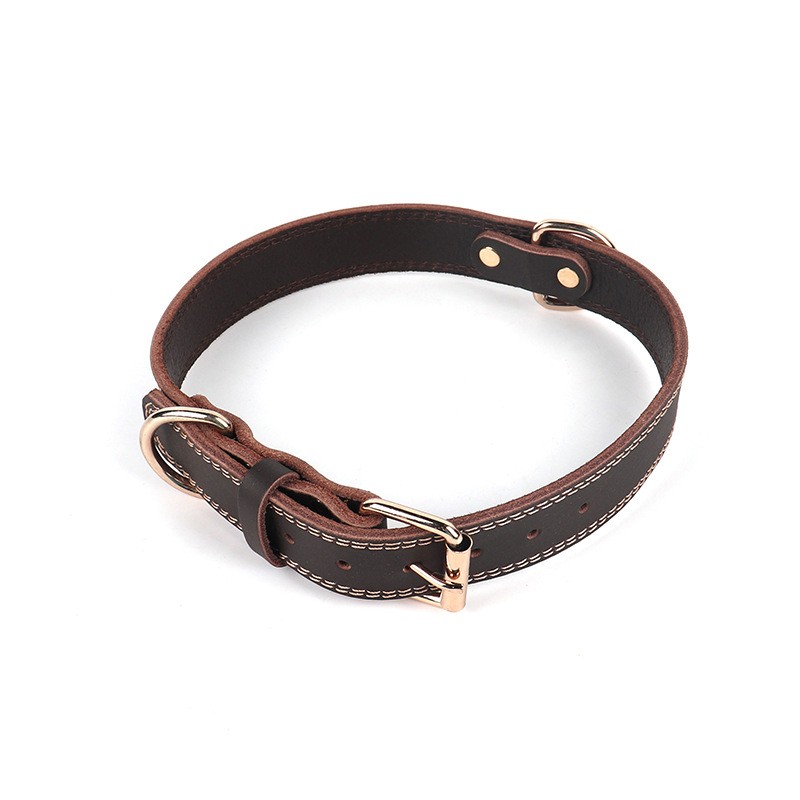 Leather Dog Collar Manufacturer - Cowhide Adjustable Buckle Collar