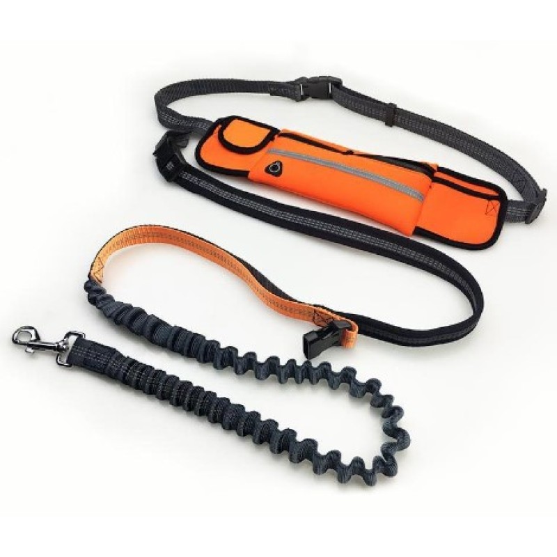 Hands Free Dog Leash Factory - Waist Bag with Waste Bag Holder