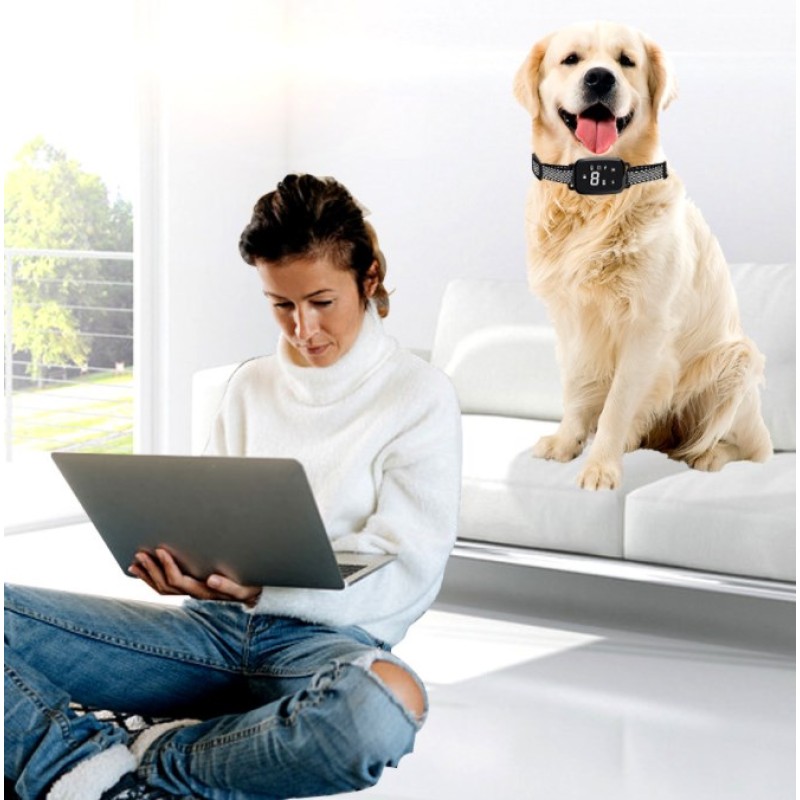 Smart Dog Collar Manufacturer - Automatic Anti Bark Training Collar