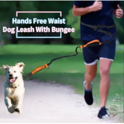 Hands Free Dog Leash Factory - Waist Bag with Waste Bag Holder