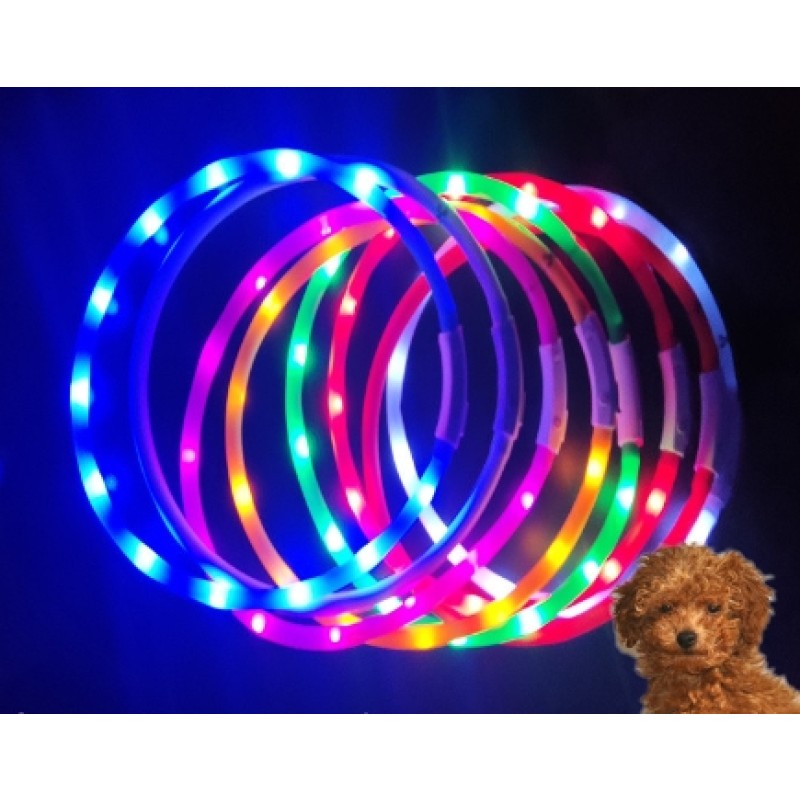 LED Pet Collar Manufacturer - USB Rechargeable Silicone Light Up Collar