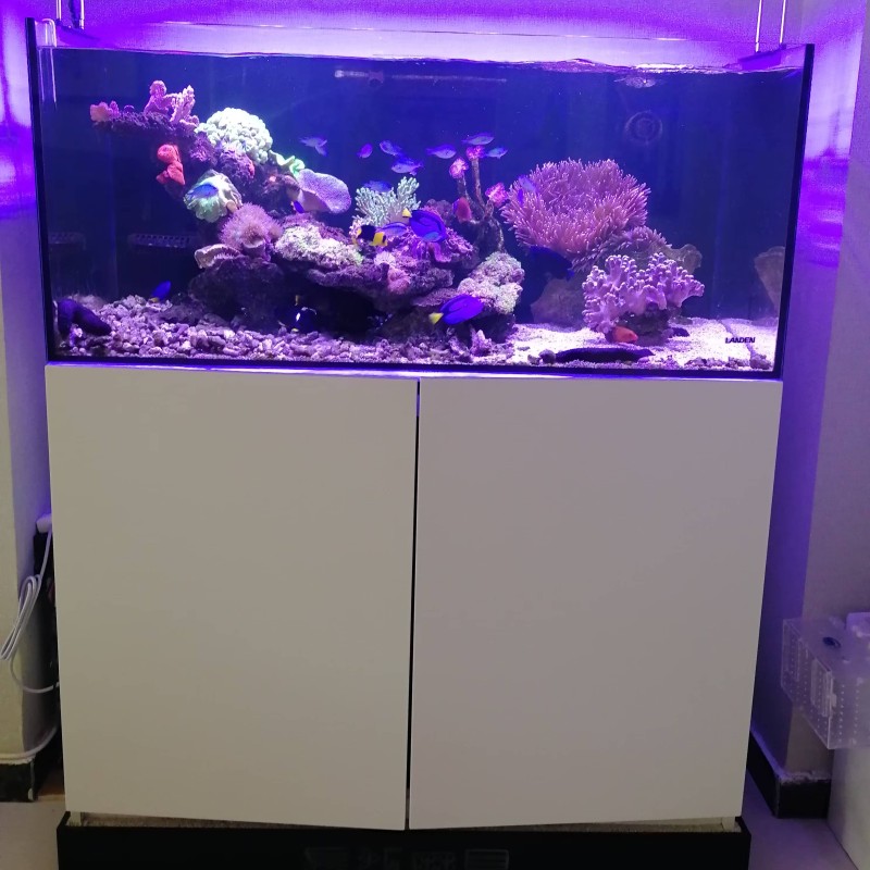 Glass Aquarium Supplier - LANDEN Bottom Filter Marine Tank