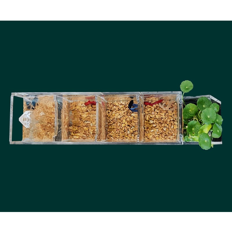 Acrylic Aquarium Factory - Multi Layer All in One Desktop Tank