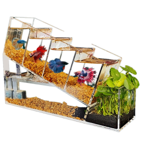 Acrylic Aquarium Factory - Multi Layer All in One Desktop Tank