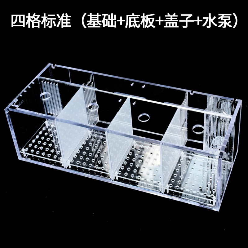Plastic Tank Supplier - 5W Rectangular Four Compartment Aquarium