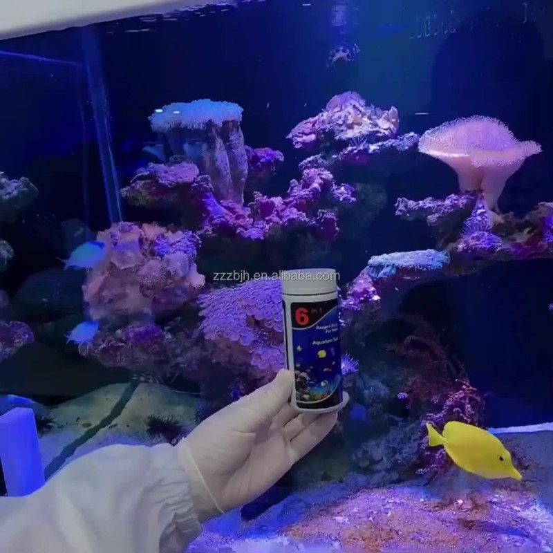 Water Test Strips Manufacturer - 6 in 1 Aquarium Water Quality Tester