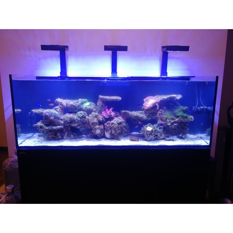 Fish Tank Supplier - RedSea G2 425-625L Deluxe Aquarium Set