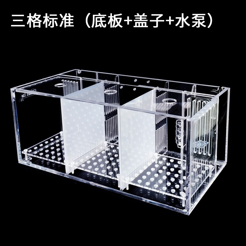 Plastic Tank Supplier - 5W Rectangular Four Compartment Aquarium