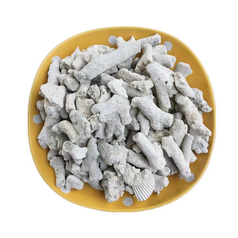 Filter Media Supplier - Eco Friendly Coral Gravel Natural Media