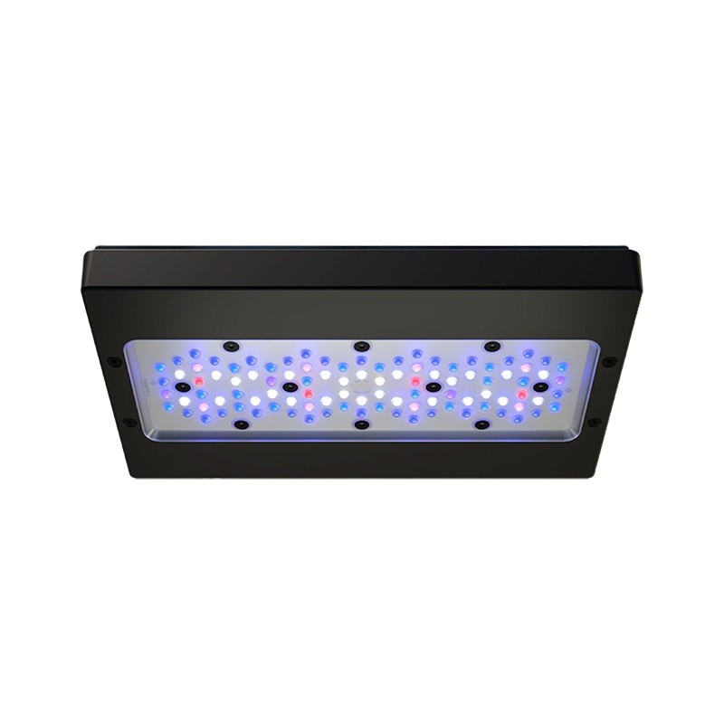 LED Light Supplier - X30 215W CREE WiFi Marine Light