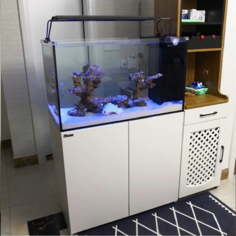 Glass Aquarium Factory - Custom Marine Coral Plywood Tank