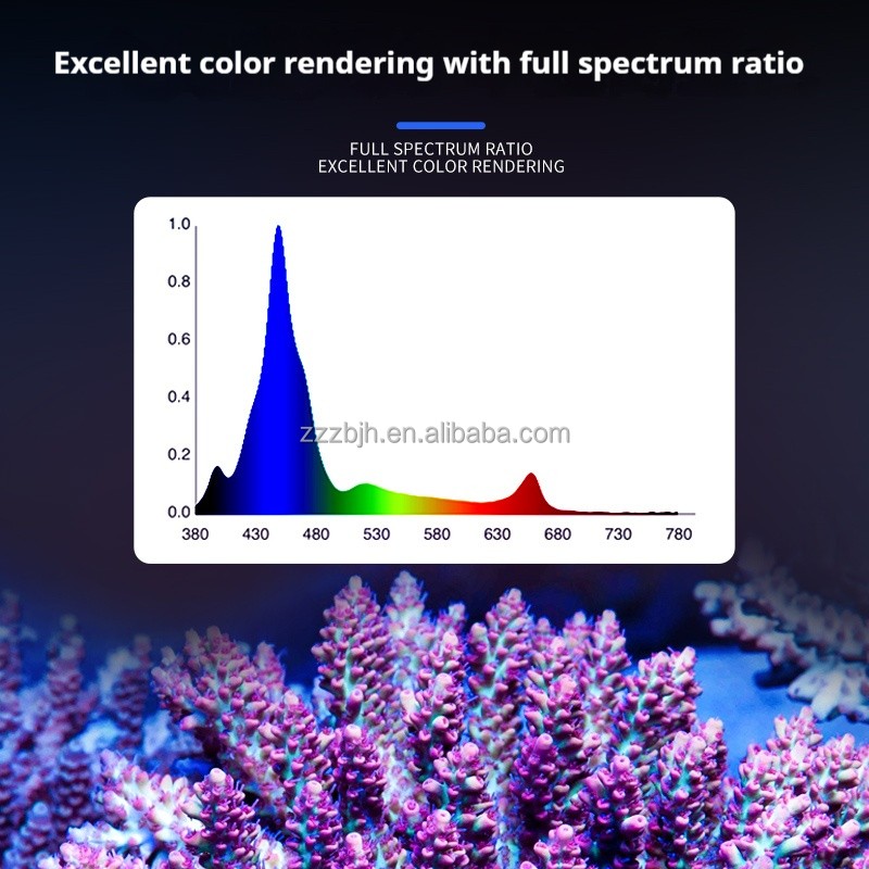 Coral Lamp Supplier - Kassray T60 60W Flat Coral Light