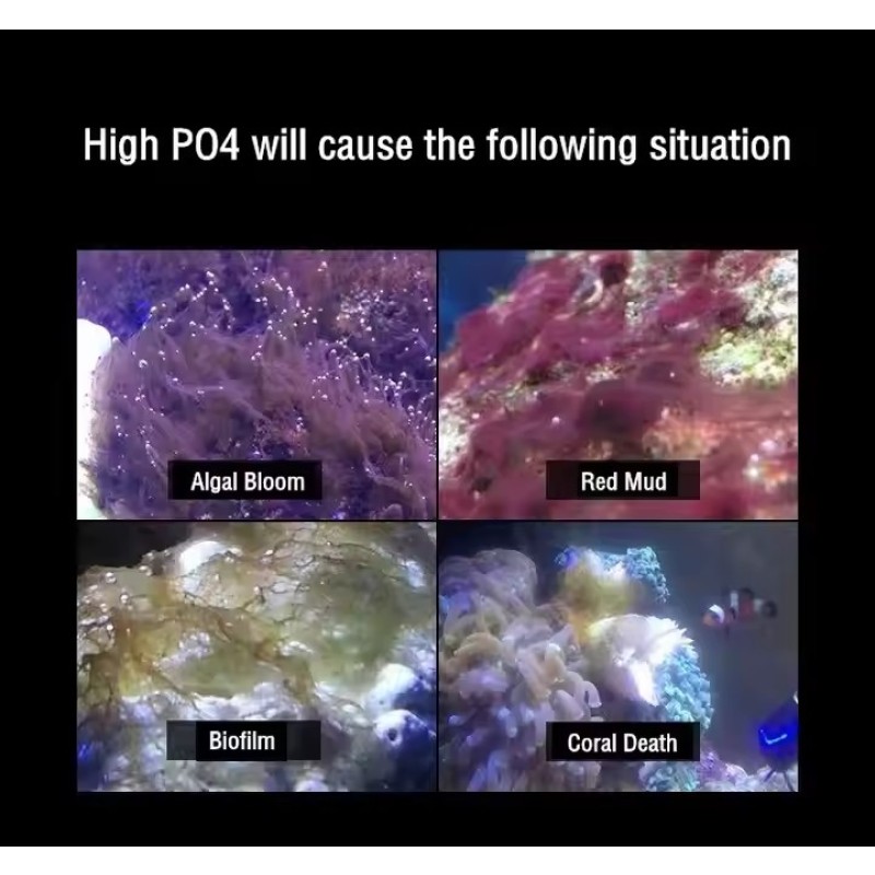 PhosBan Reactor Manufacturer - Red Starfish PR Series Reactor