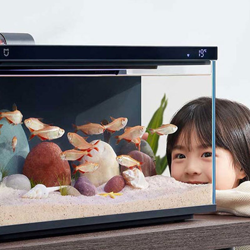 Smart Tank Factory - LCD Display WiFi Controlled Ecological Tank