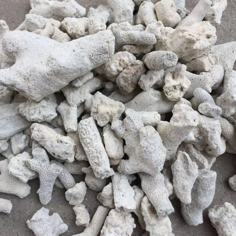 Filter Media Supplier - Eco Friendly Coral Gravel Natural Media