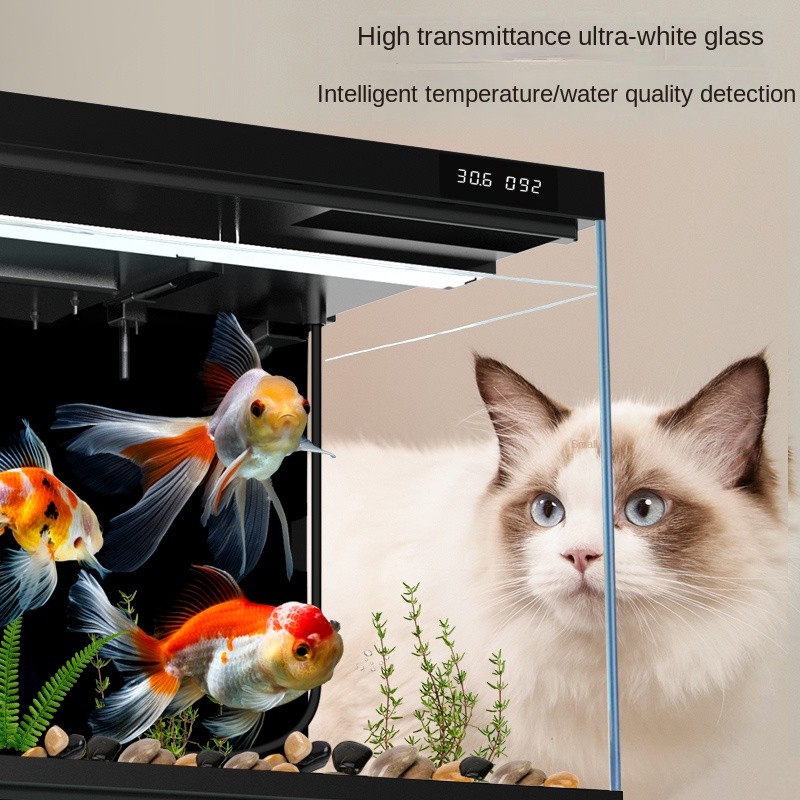Smart Fish Tank Manufacturer - 220V APP Control Eco Home Design