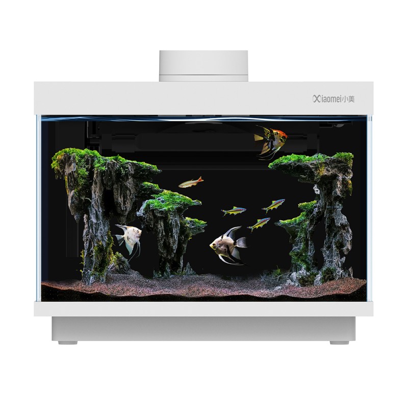 Smart Aquarium Manufacturer - Desktop Ecological Integrated System