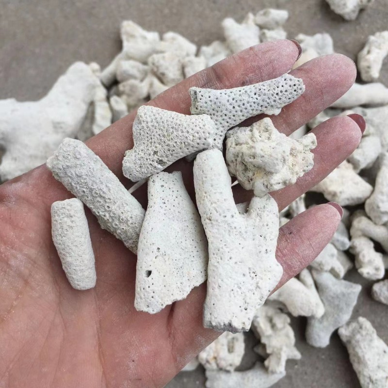 Filter Media Supplier - Eco Friendly Coral Gravel Natural Media