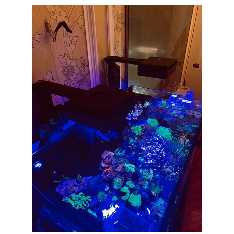 Fish Tank Set Manufacturer - RedSea MAX E Seawater Aquarium Set