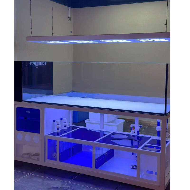 Aquarium Tank Manufacturer - Custom Open Top Coral Reef Saltwater Tank