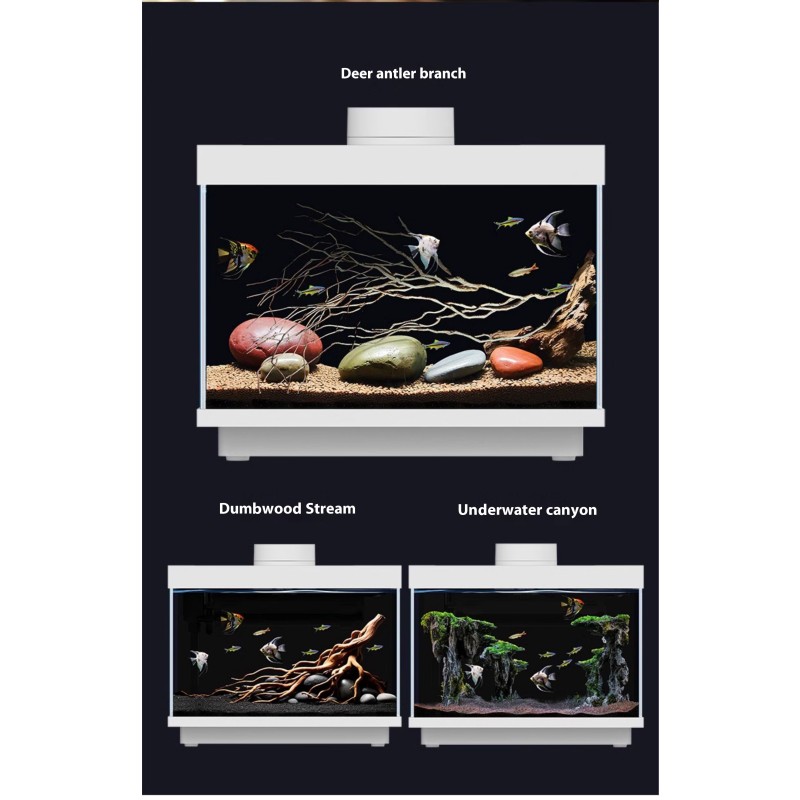 Desktop Aquarium Supplier - 5W Bluetooth Enabled All in One Tank