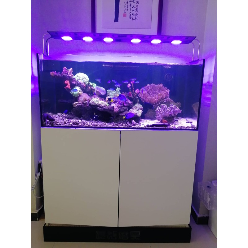 Fish Tank Factory - RedSea 170-425L Home Office Aquarium