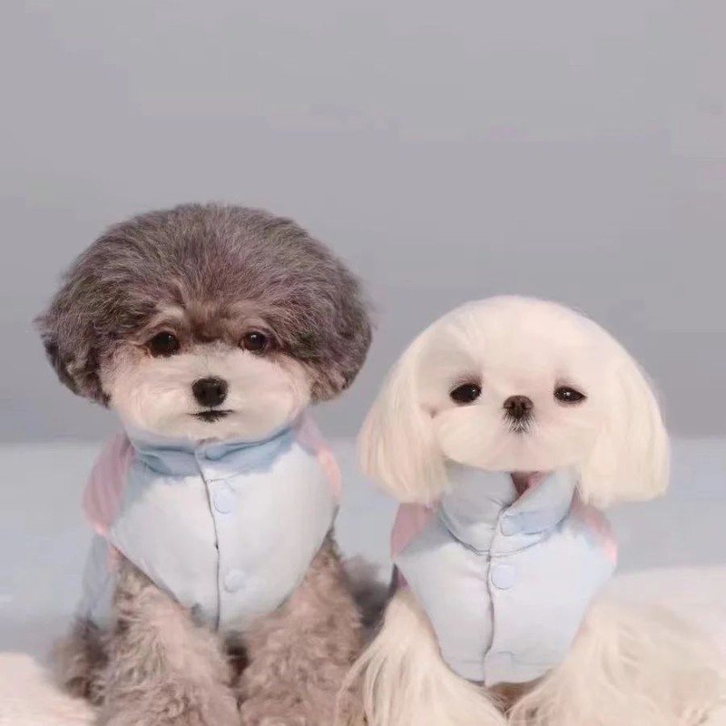 Pet Bed Factory - Small Breeds Fluffy Cushion