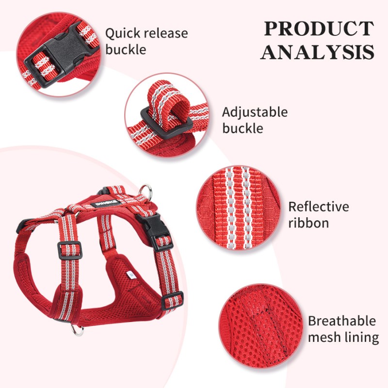 Dog Leash Manufacturer - Explosion-proof Padded Chest Strap