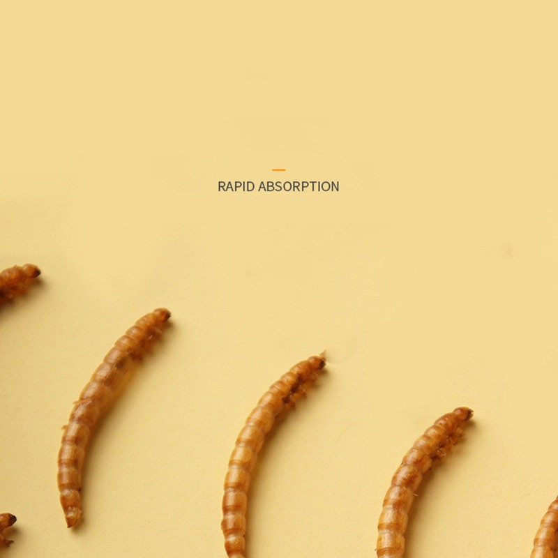 Dry Dog Food Manufacturer - OEM Triangular Shaped Food