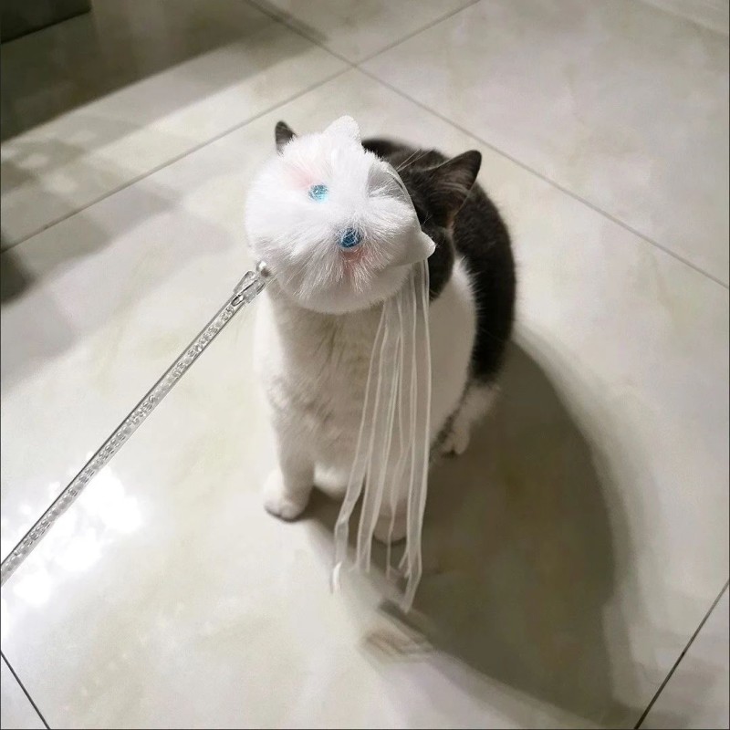 Pet Laser Toy Manufacturer - New Infrared Projection Pen