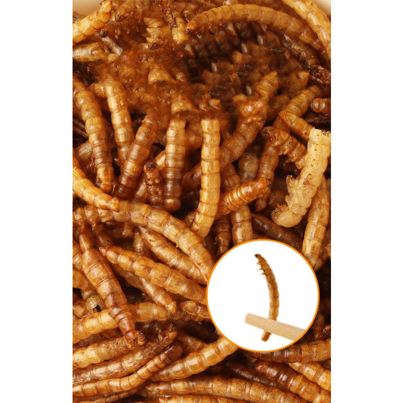 Dry Dog Food Manufacturer - OEM Triangular Shaped Food